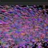 【WebGL2】GPU Instancing x Transform Feedback で大量のインスタンスの計算と描画をGPUで行う