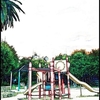色んな風景～地元の公園～