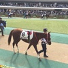 東京競馬 3R パドック直前予想 ◎8 ヨイミヤ