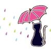 雨の朝です　 ('-'*)ｵﾊﾖ♪