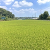 次の作品に向けての方針を練っていく（総論）
