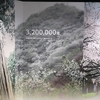 「320万本のオオシマザクラ」・壁面に・・