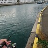 追記あり。佐世保川でタコエギング(笑)(*´∀`)♪