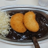 ゴーゴーカレー 上野御徒町店