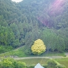変化を追い求めること