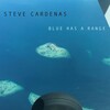 Steve Cardenas  スティーヴ・カーディナス　Blue Has a Range