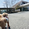 【神奈川・箱根】愛犬と小田急箱根ハイランドホテルに泊まってきた★宿泊・口コミ滞在記