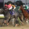 競馬初心者必見☆馬券予想🔥〜東京大賞典〜購入馬券大公開㊙︎