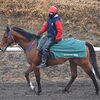 ２月２８日に帰厩済。次走は１２日の阪神・芝１８００ｍを早速予定しています。☆クラシックステップ