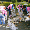 利根町ネットワーカー協議会が清掃作業を行いました。