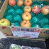 紹介：最近出ているりんごのサン津軽について紹介するよ