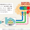 低音障害型感音難聴 / 耳鳴り / メニエール病になって試したこと