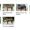 日高愛のオーナーズクラブに注目　