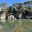 健康寿命を延ばすための人体実験記録
