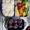 今日のお弁当😋🍴🍱♬*娘テスト期間で息子のみ