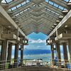 沖縄移住生活　～美ら海水族館　待ちに待ったイルカショーの再開～