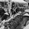 壬生の花田植