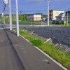 稚内市街地にクマ出没