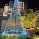 《池袋西口のクリスマス》フクロウとイルミネーション