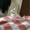 先生の転換期