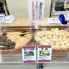 熊本の和菓子