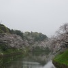 2023/03/23 お花見（千鳥ヶ淵、北の丸公園、靖国神社、外濠公園）