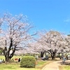 なかなか思い通りにはいかない！みやざき春だより③【宮崎県総合文化公園】