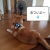 またまた水ネタになりますが…(￣▽￣;)