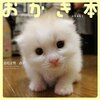 かわいい猫の動画