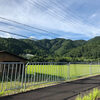 山登りなんて大嫌いだったのに