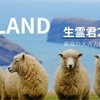 4月ニュージーランド生霊君