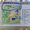 ３月２５日（日）浦和北公園でふれあいまつりが開催されます♪