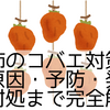 干し柿のコバエ対策決定版｜原因・予防・発生後の対処まで完全解説