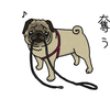 散歩の前の運動会