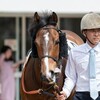 【一口馬主／ラパンラピッド】復帰戦決まる！鞍上はまさかの…？
