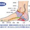 大好きなパンをやめてる、その結果　No.154