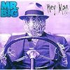 MR.BIGで埋もれた名盤”Hey Man”のおススメの曲を紹介します