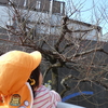 ☆お顔が出てきたよ☆
