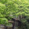 京都の新緑・暮れゆく貴船神社