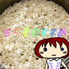 食物繊維がとれて腸内環境にいい麦ごはんのすすめ★麦100％ごはんレビューあり