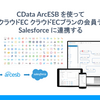 CData ArcESB を使ってGMO クラウドEC クラウドECプランの会員データをSalesforce に連携する