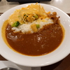 すき家 チーズ夏野菜カレー&かき氷(ソーダ)