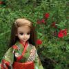 10月の花々＆拍手レス