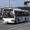 鹿児島交通(元国際興業バス)　2162号車