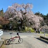 神原と竜王峠でお花見撮影