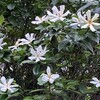 イエスを信じないことが罪（2）