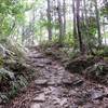 熊野古道テント泊小辺路縦走登山！伯母子岳～三浦峠～十津川温泉～観音堂編 