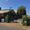 日曜日：行きつけの園芸専門店を見つける