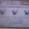 Nintendogs - 初めての「すれちがい通信」！だが、しかし！