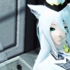 色々SS投げるけどやっぱりPSO2多め